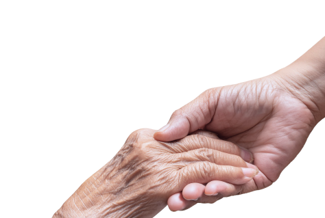 Hand Holding Older Hand